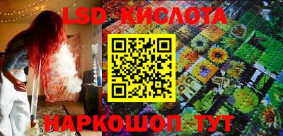 индика Новозыбков