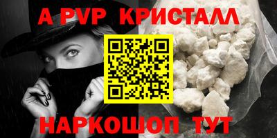 индика Новозыбков