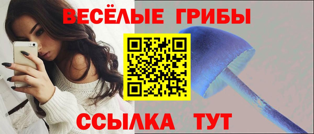 Псилоцибиновые грибы MAGIC MUSHROOMS Самара