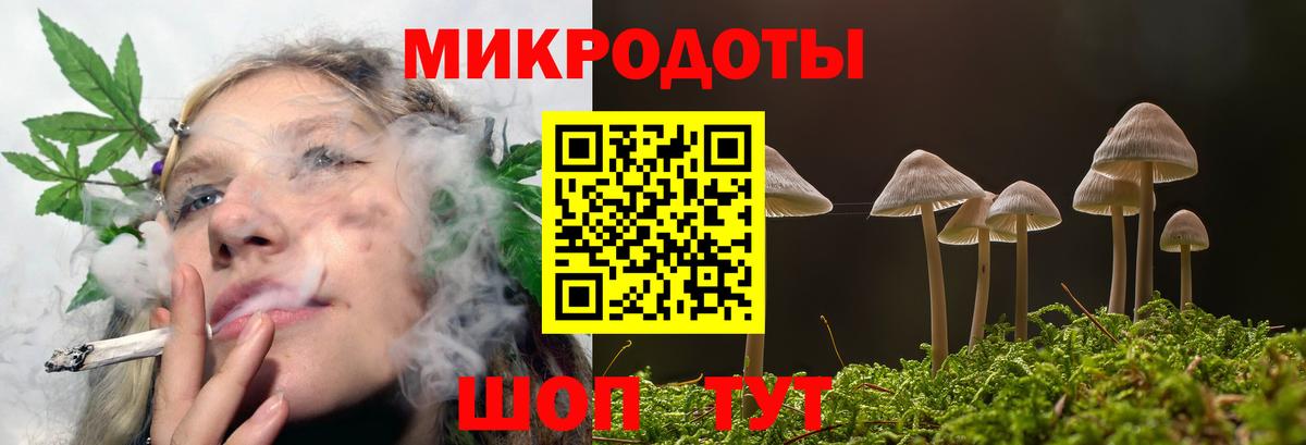 Самара  Псилоцибиновые грибы MAGIC MUSHROOMS  Галлюциногенные грибы Cubensis  Вход с VPN 